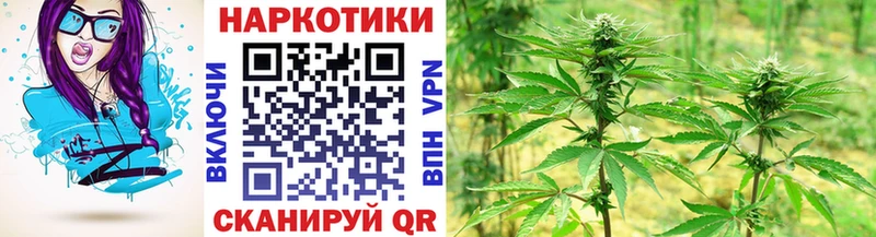 Купить наркотик аптеки Шенкурск СОЛЬ Амфетамин Меф мяу мяу Марихуана Гашиш Кокаин