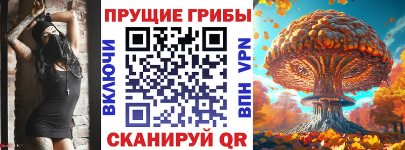 Псилоцибиновые грибы прущие грибы  kraken tor  Шенкурск  хочу  