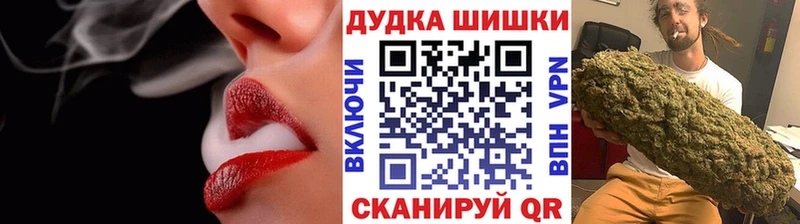 Шишки марихуана сатива  Шенкурск 